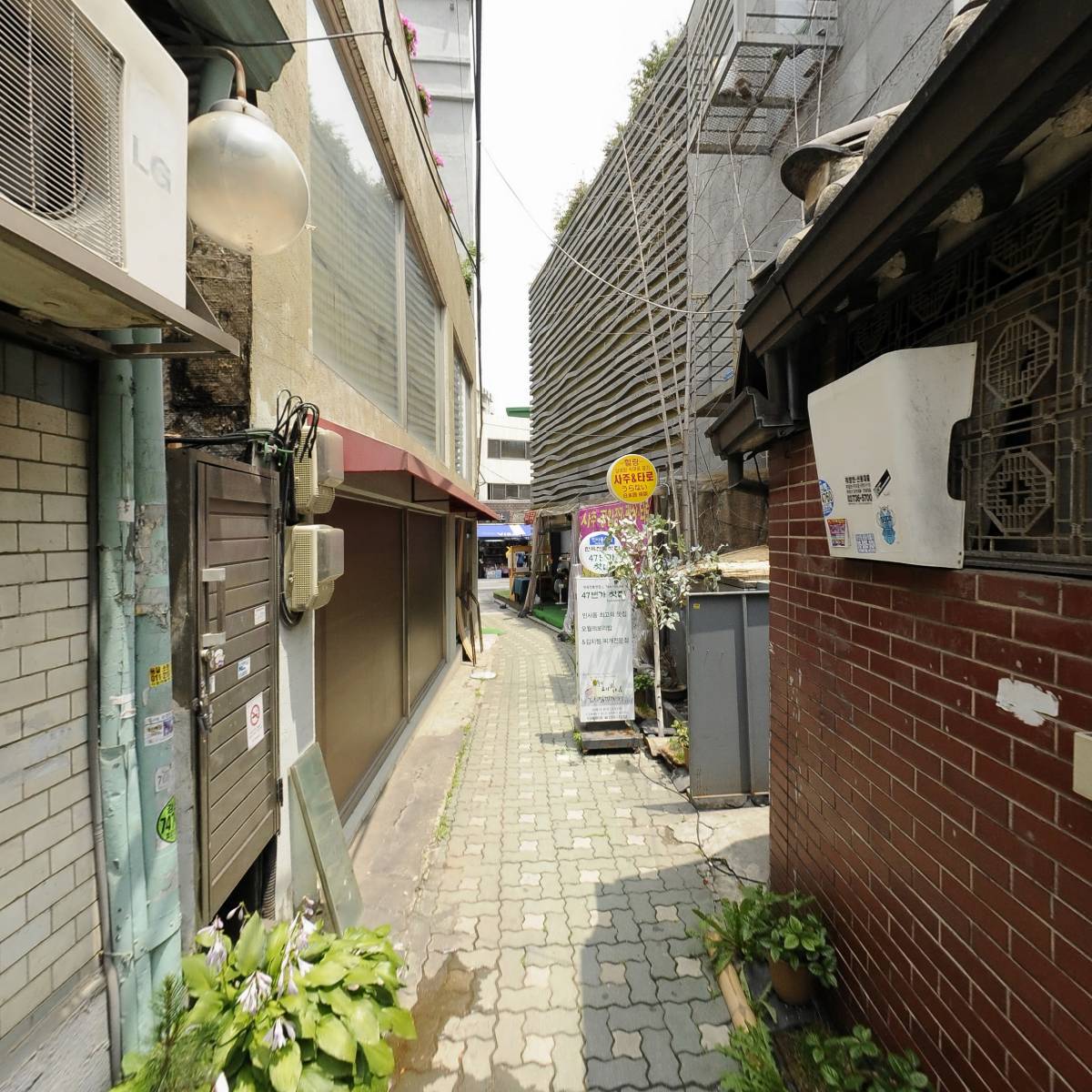 향정_2