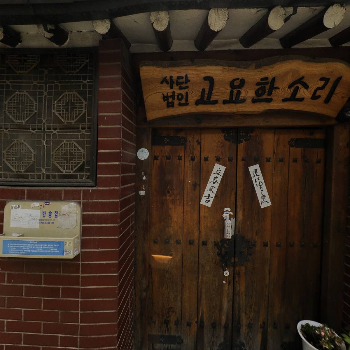 향정_3