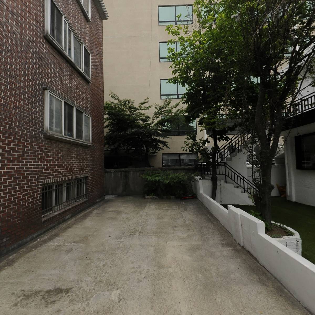 쪼르르 miniteacuppuppy_4