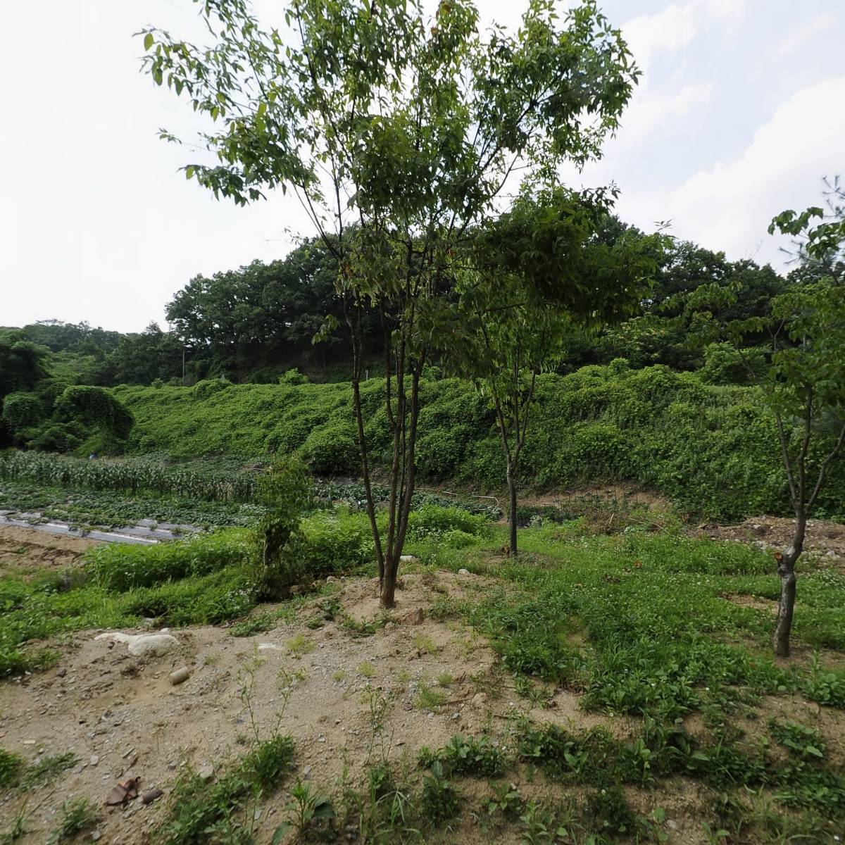 양평군청