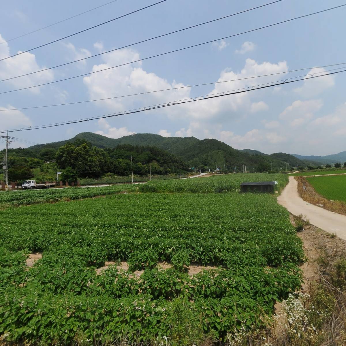 영숙전기