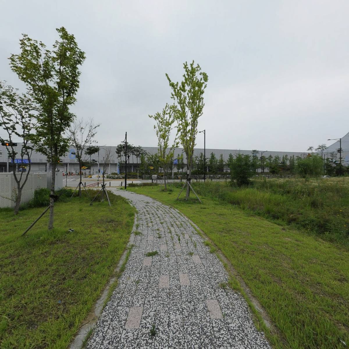 로지그라운드(Rosy Ground)_4