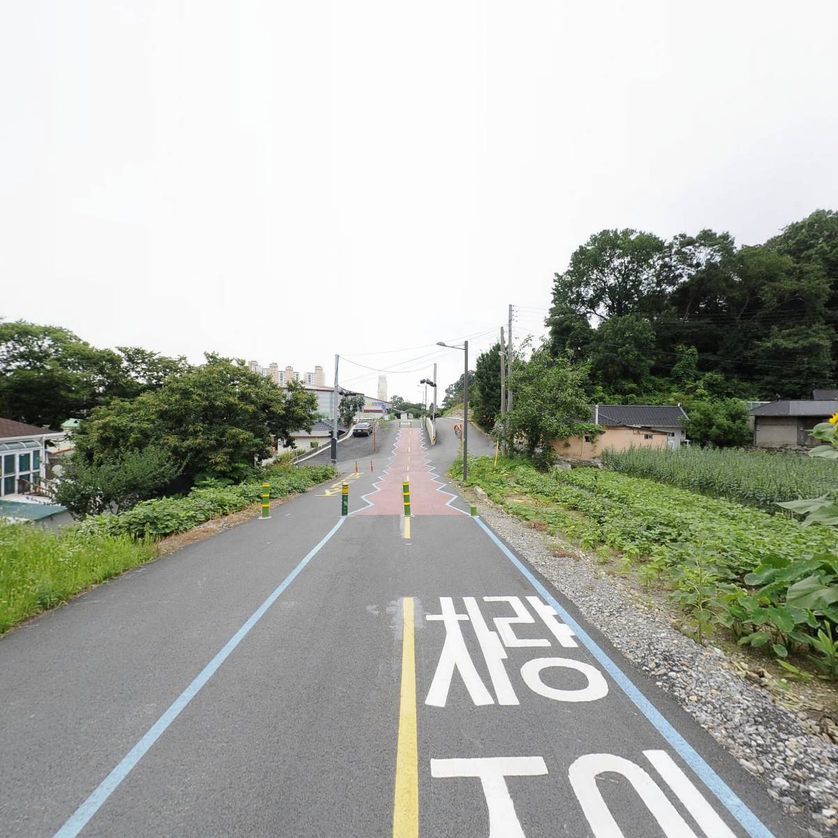 프롬닥터_4