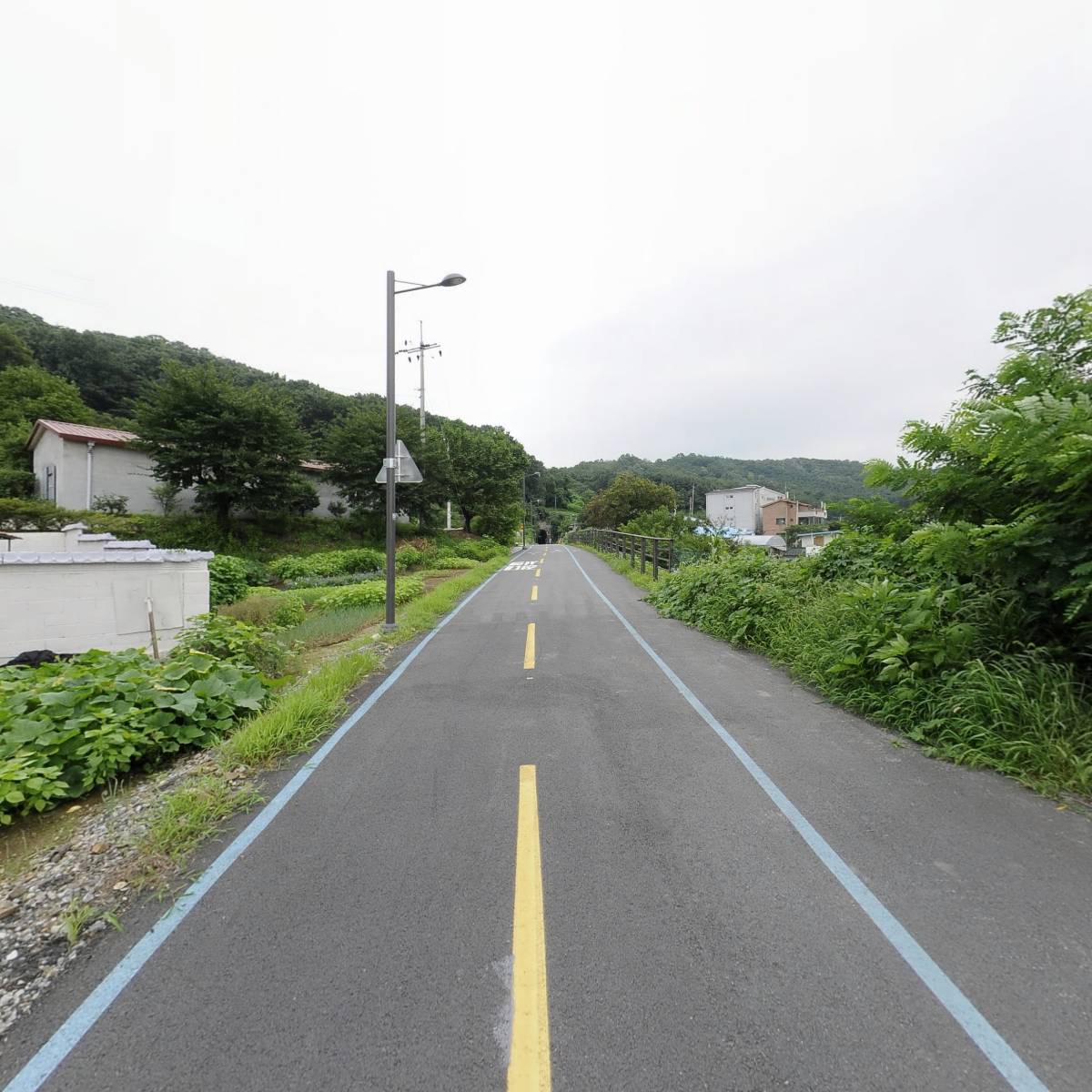 프롬닥터_2