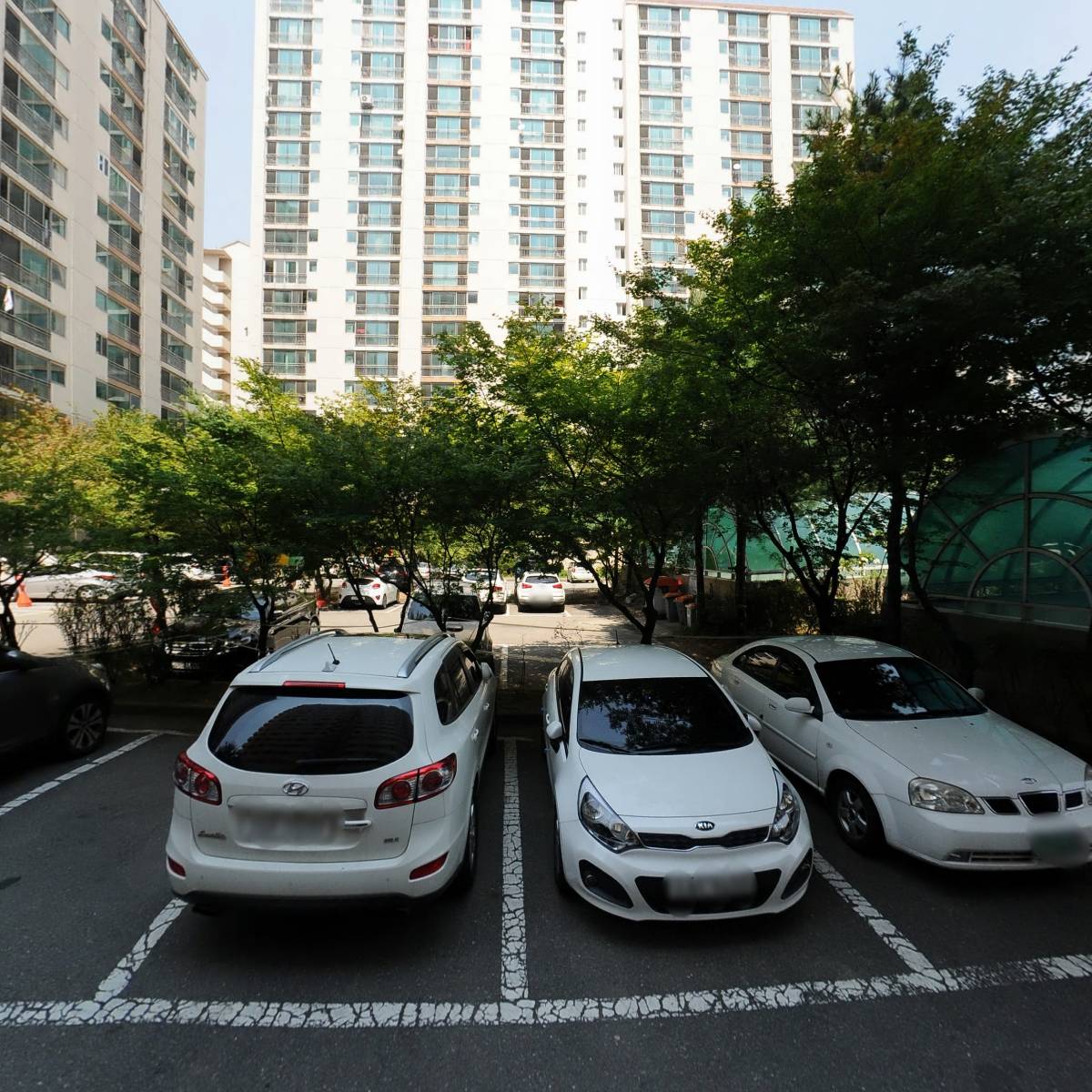 이네스 인셀덤_3