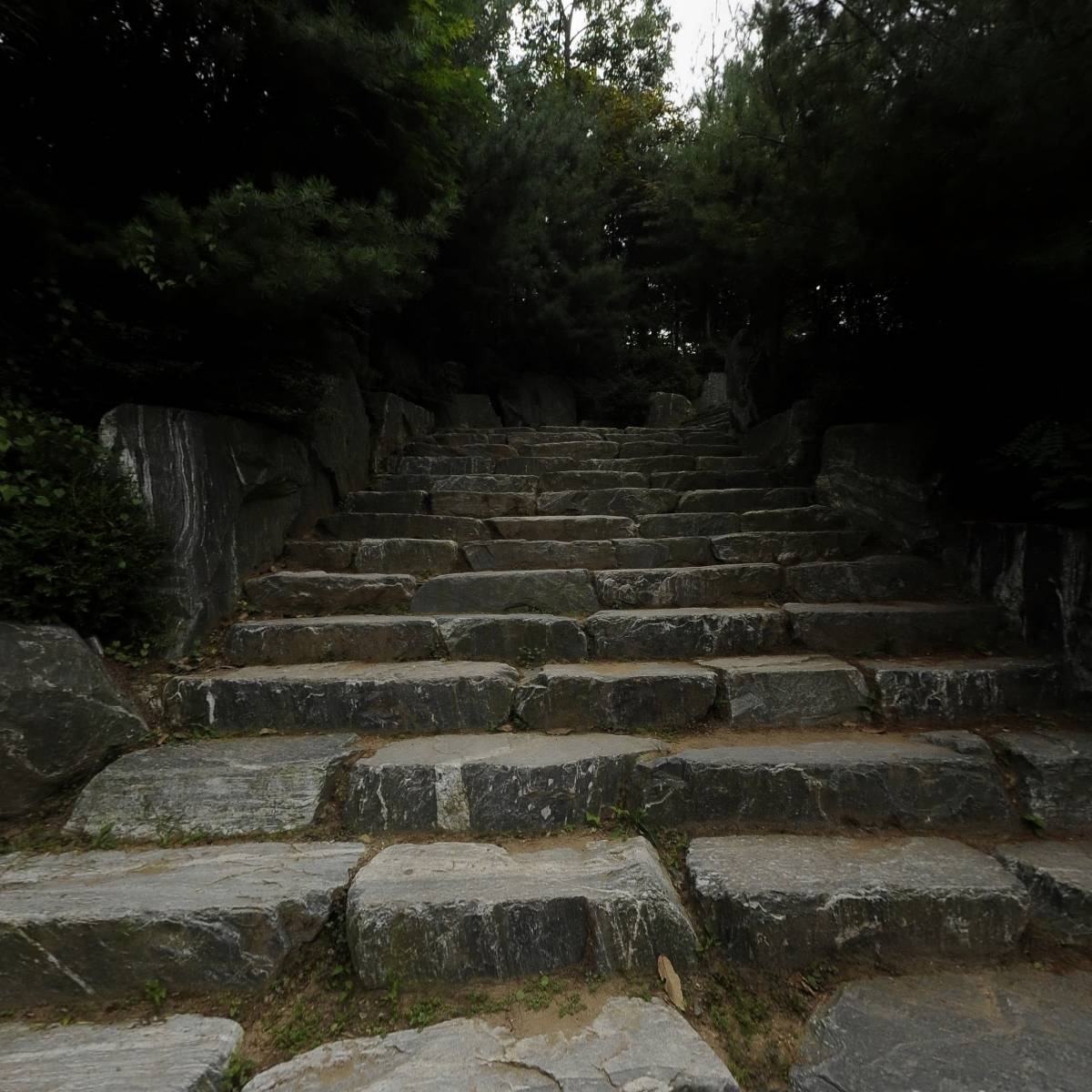 고양송산중학교_4