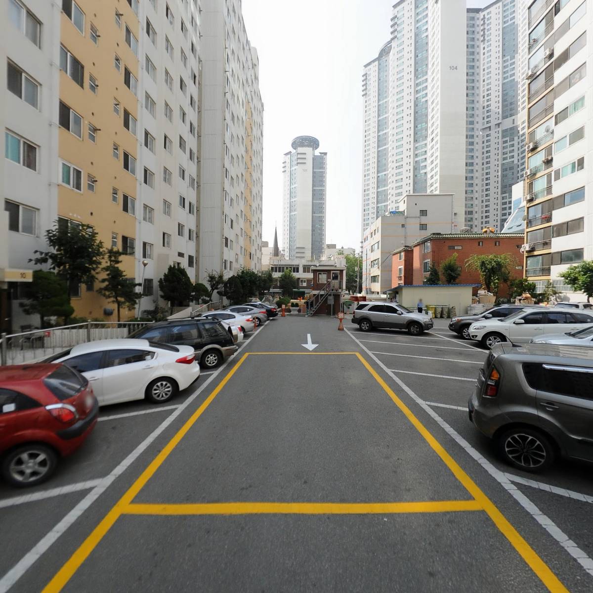 고롱고롱(GOLONG)_2