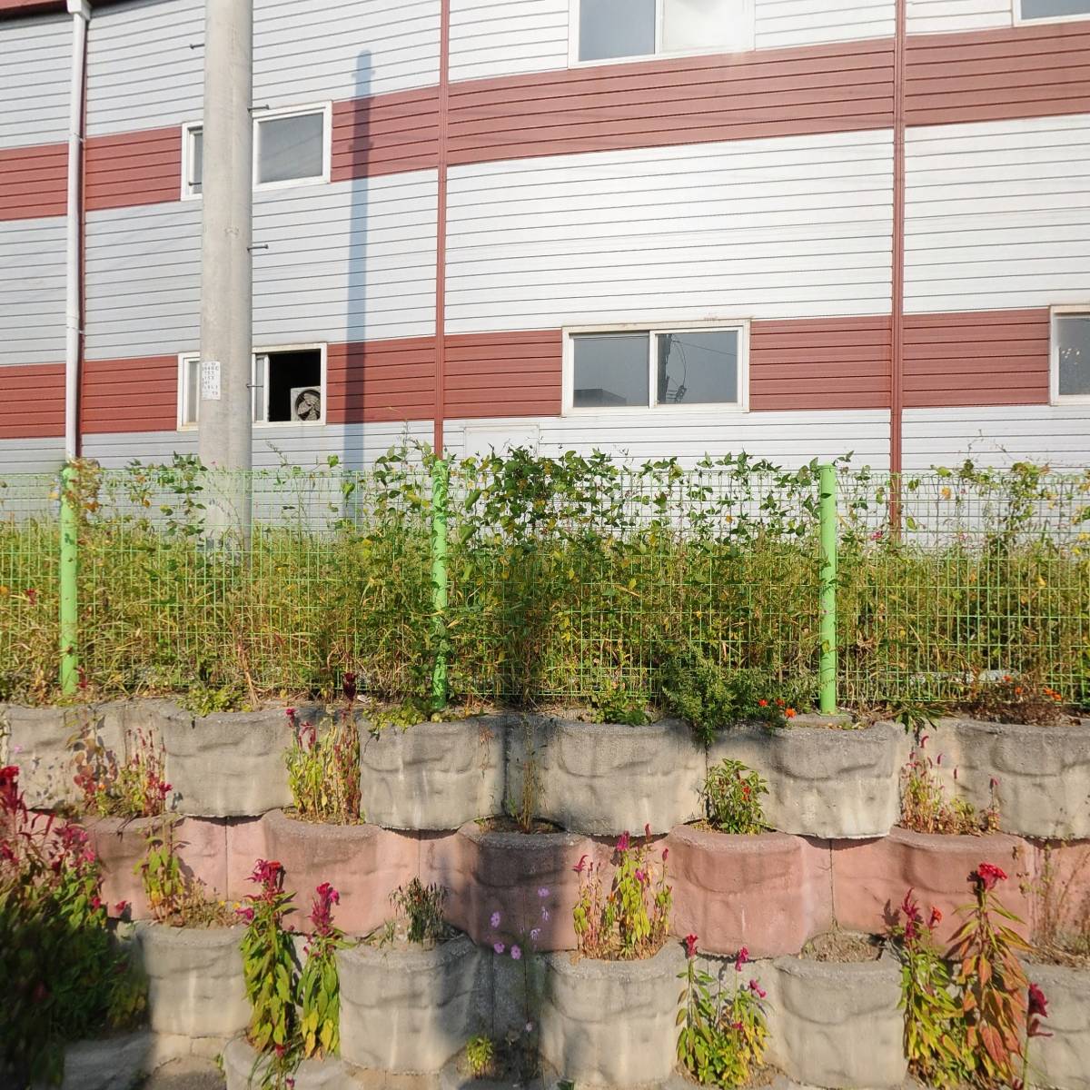 티에스알 주식회사