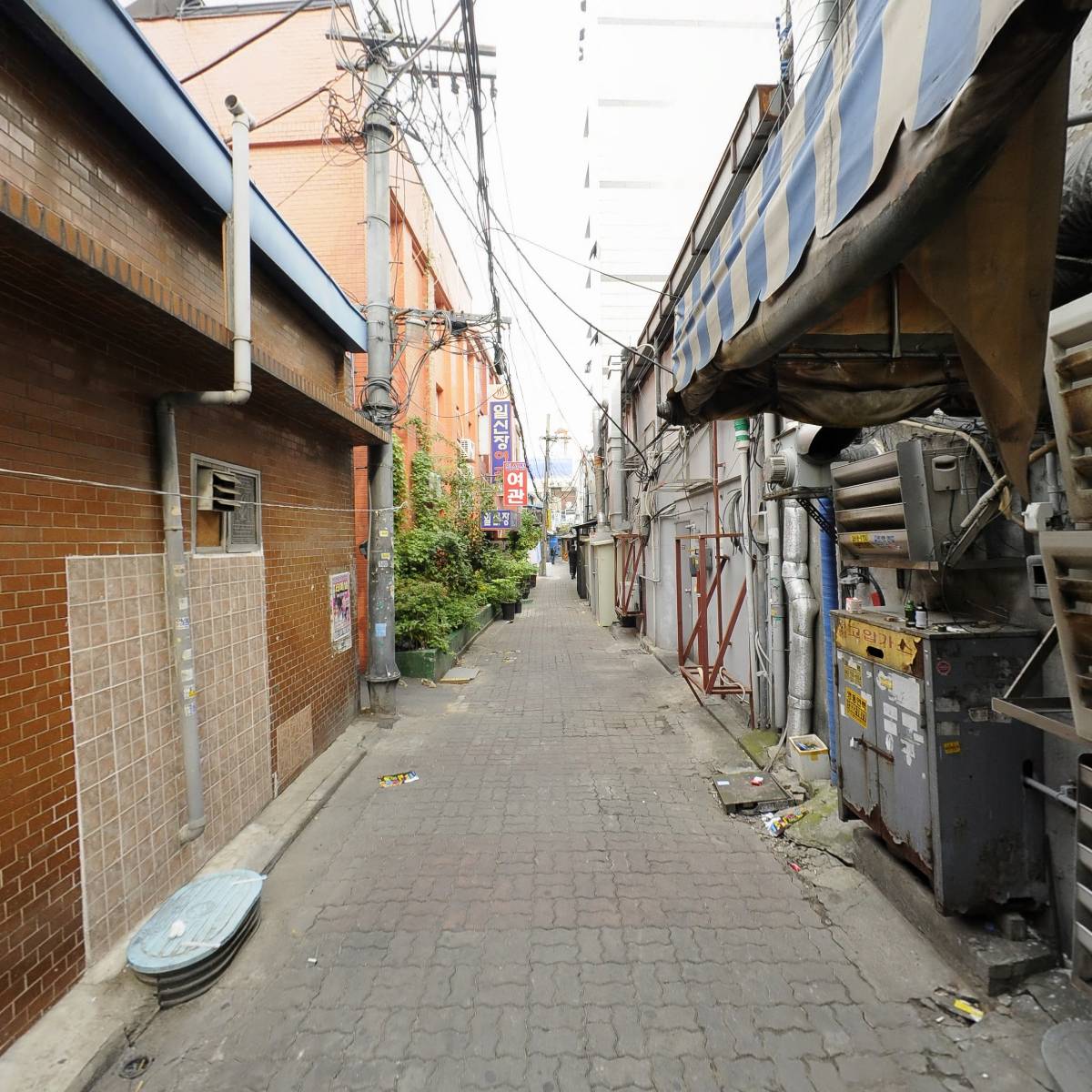 은행골_2