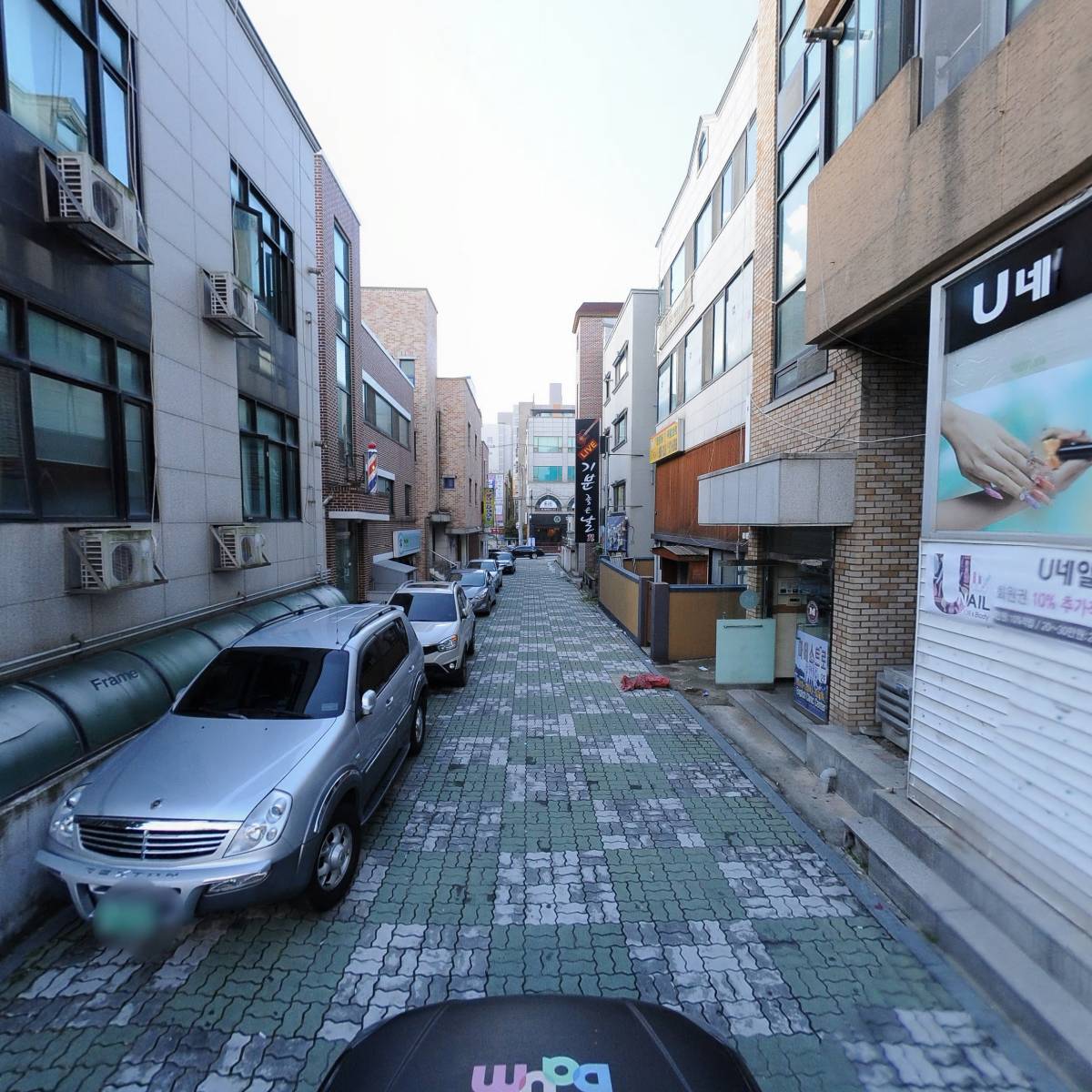 네티(NATTY)_4