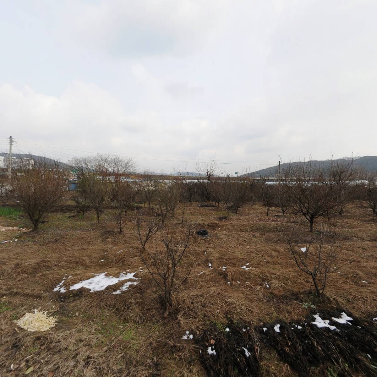장산고향손두부_3