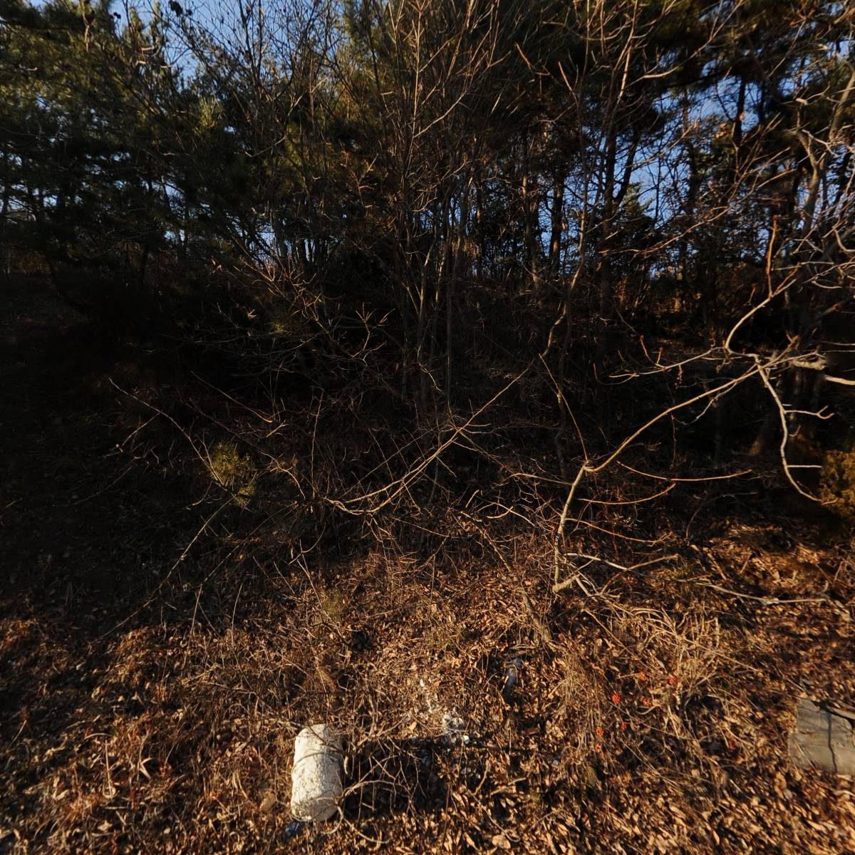 홍일수산_3