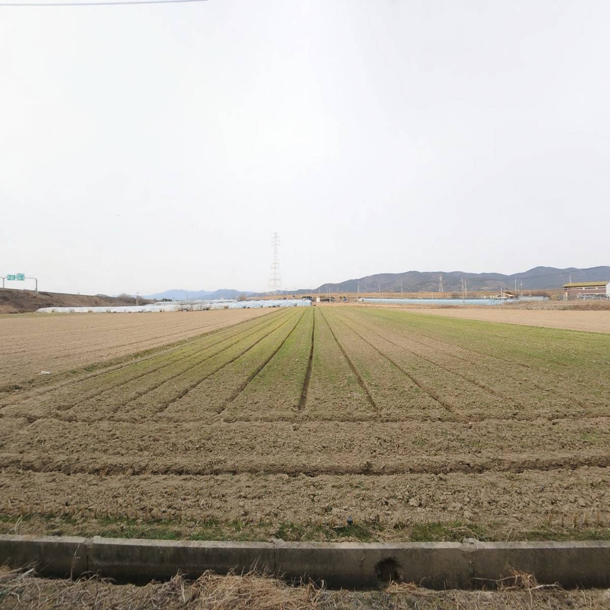 농업회사법인고려(주) 밀양지점