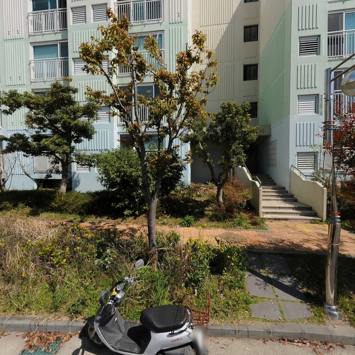 세림건기