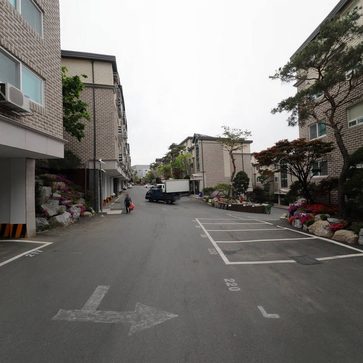 와이에스피(YSP)_2