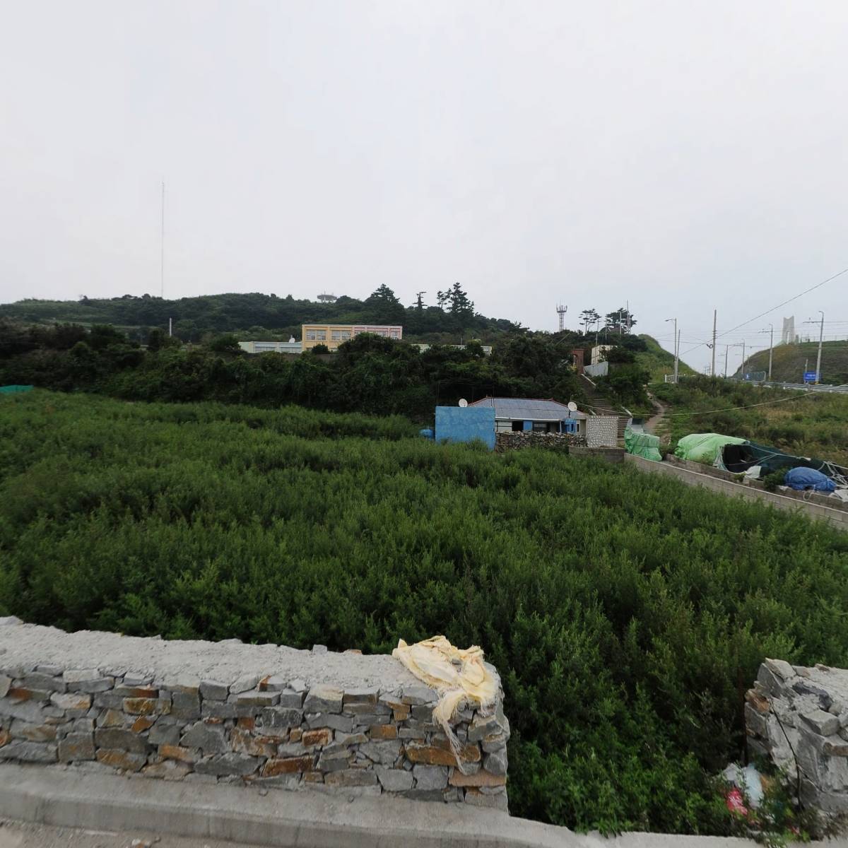 거문도해풍쑥영농조합법인힐링체험장