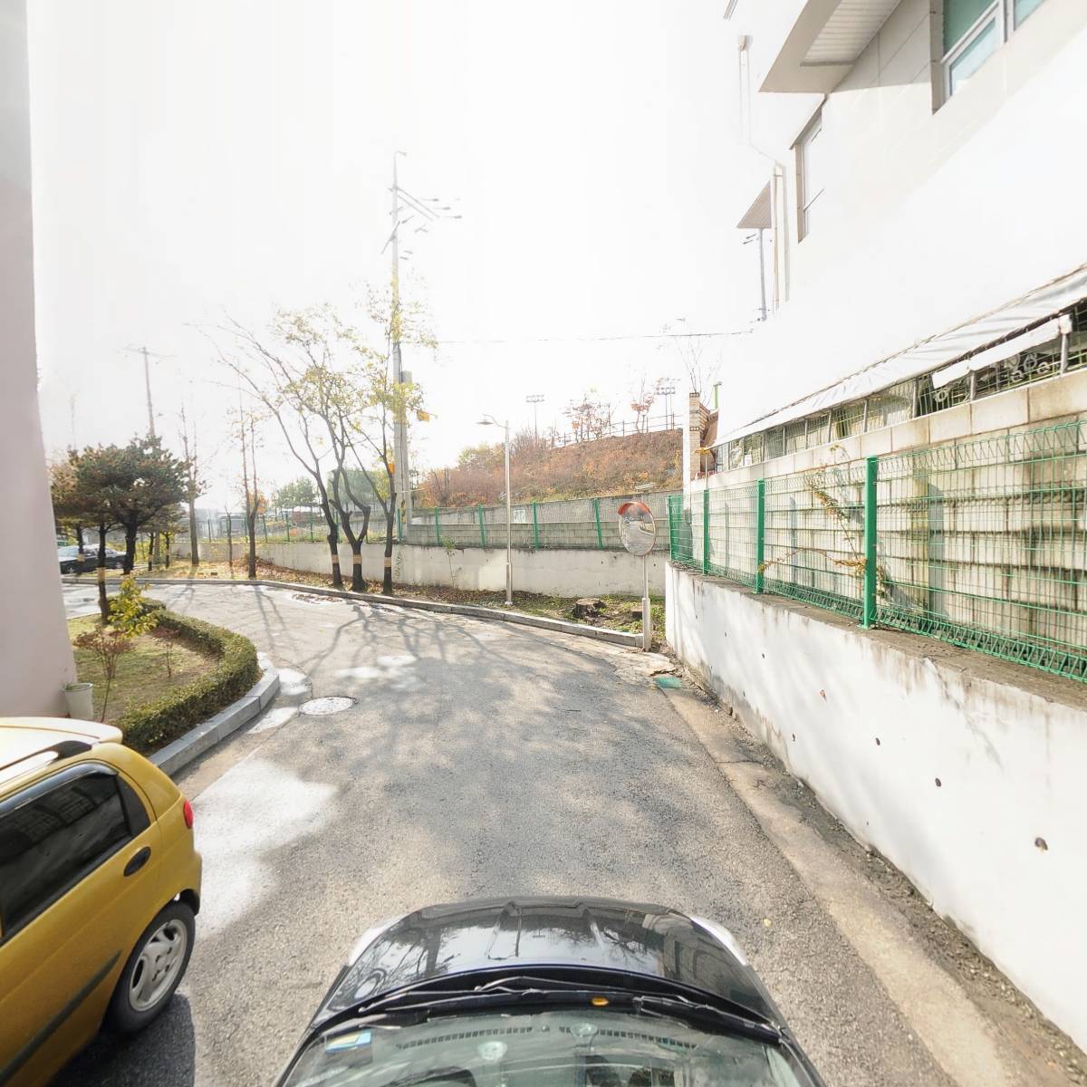 돼지게티_4
