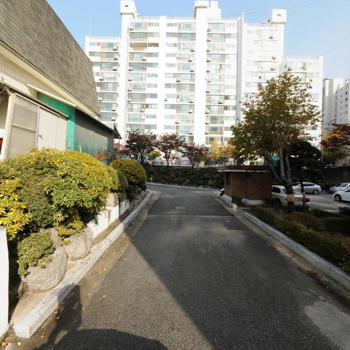 돼지게티_2