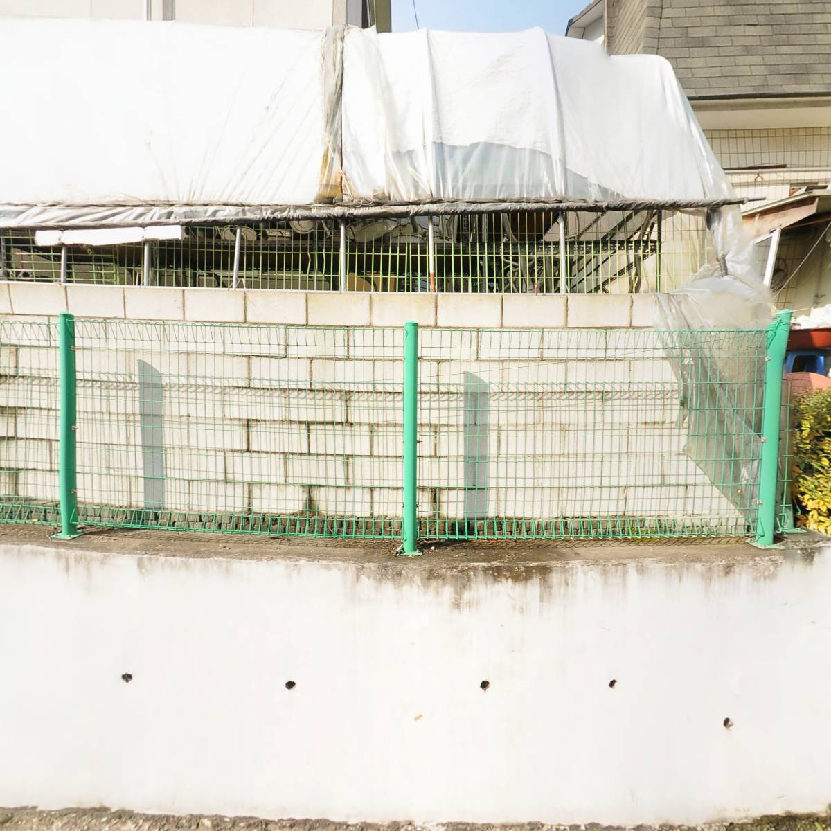 돼지게티
