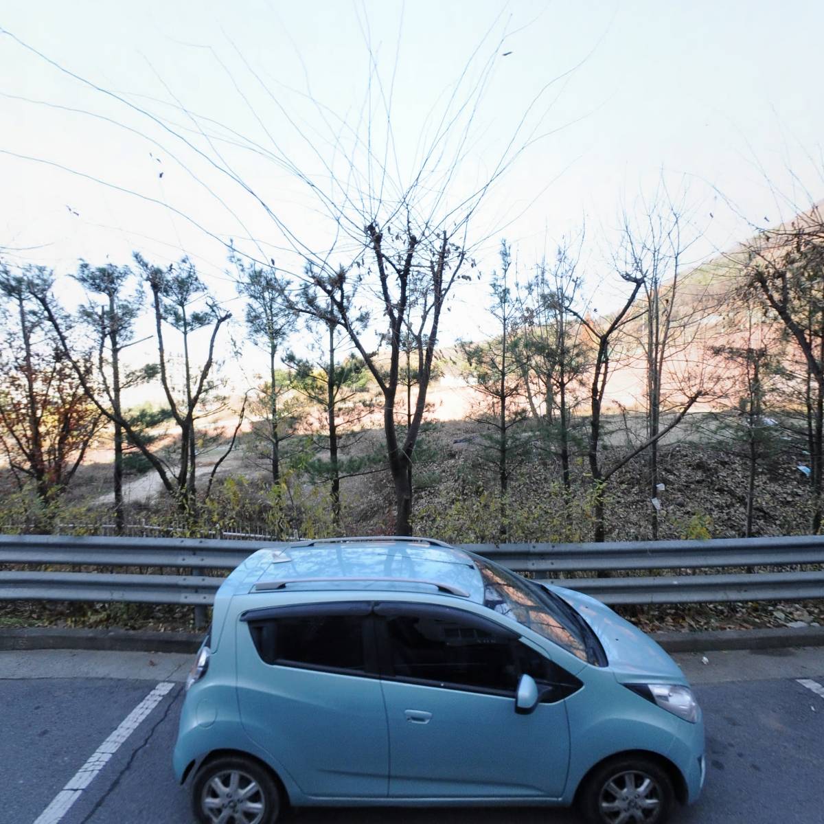(주)마른파이브