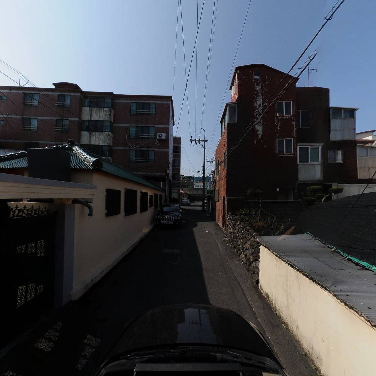영랜드_4