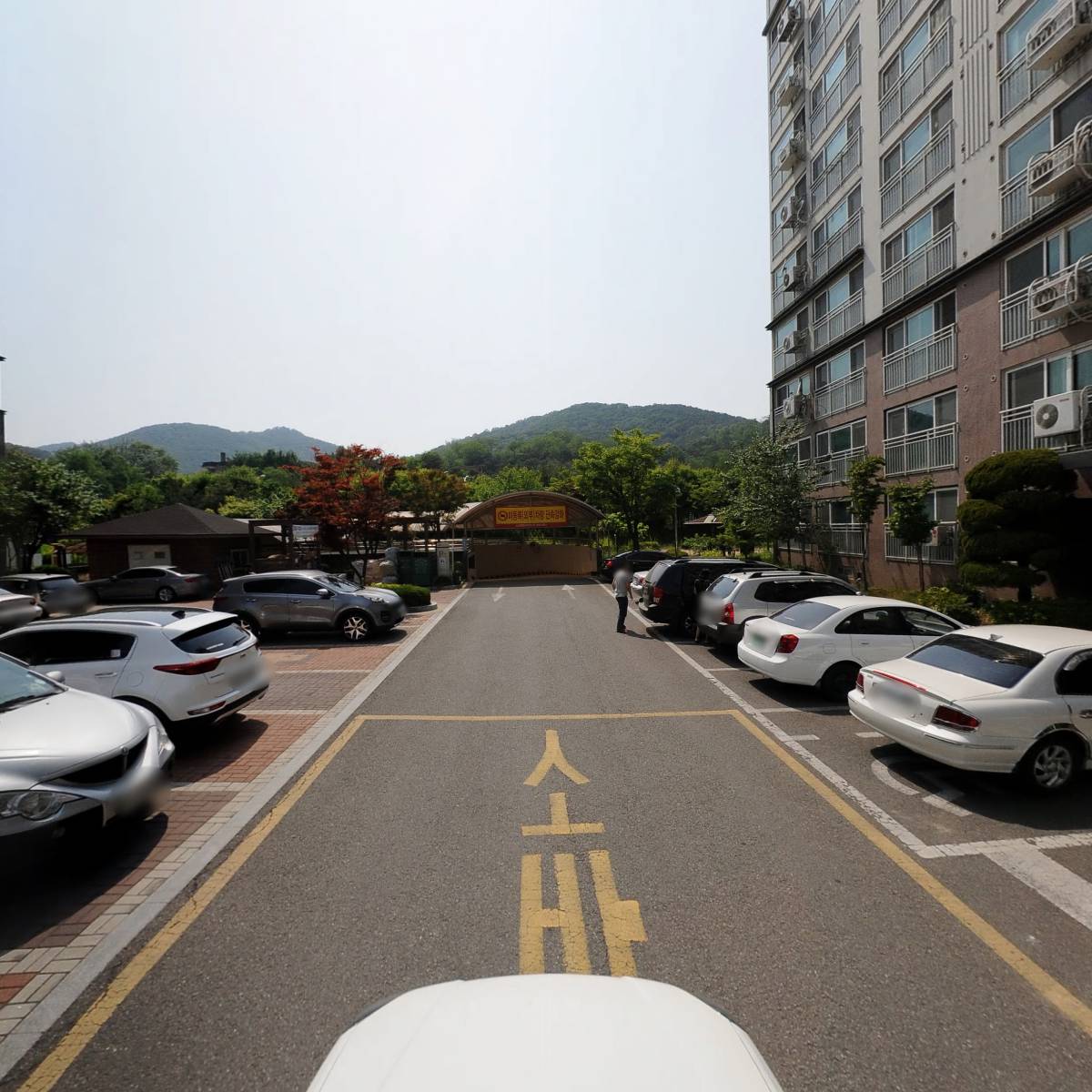 와우 픽쳐스(wow pictures)_4