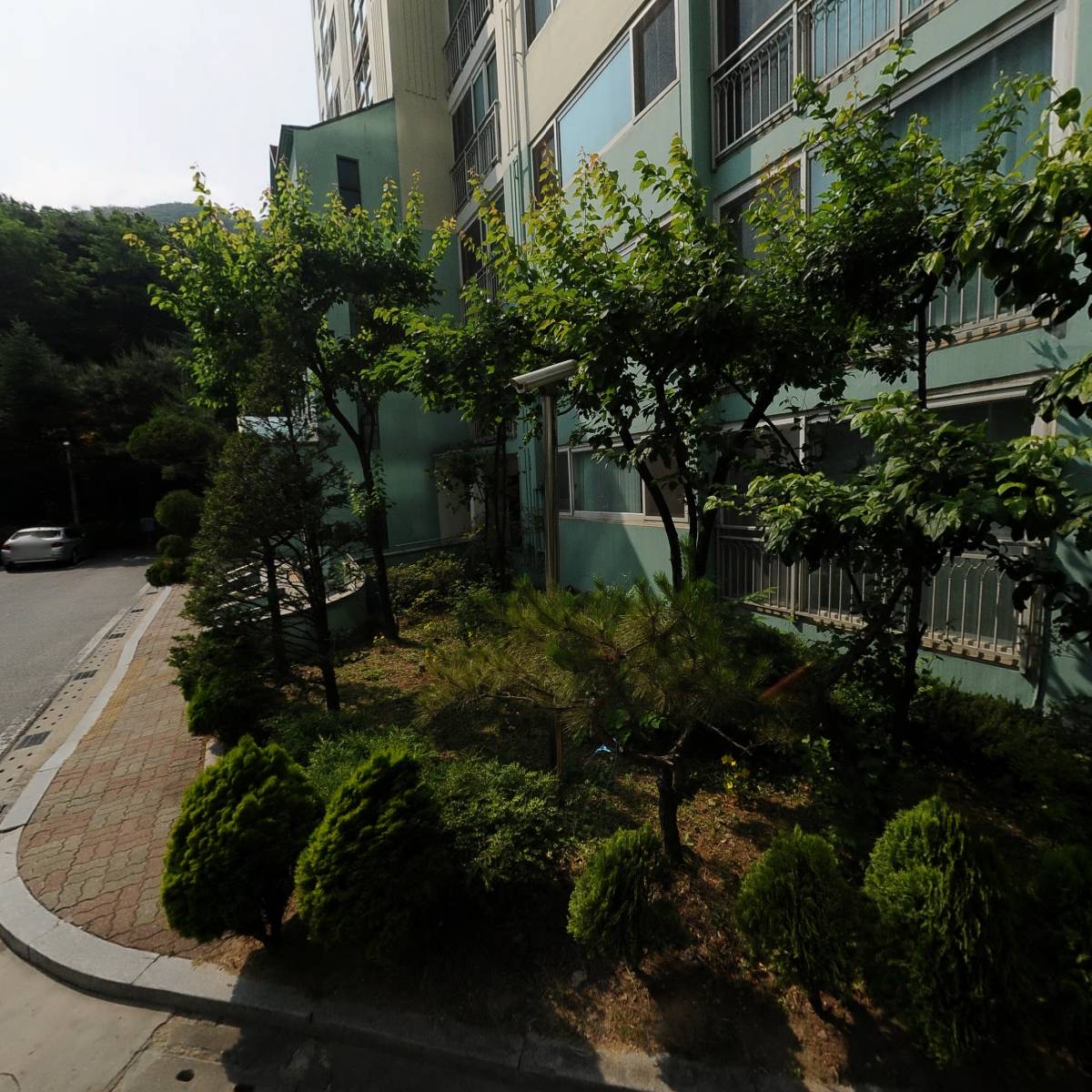 오마주_3