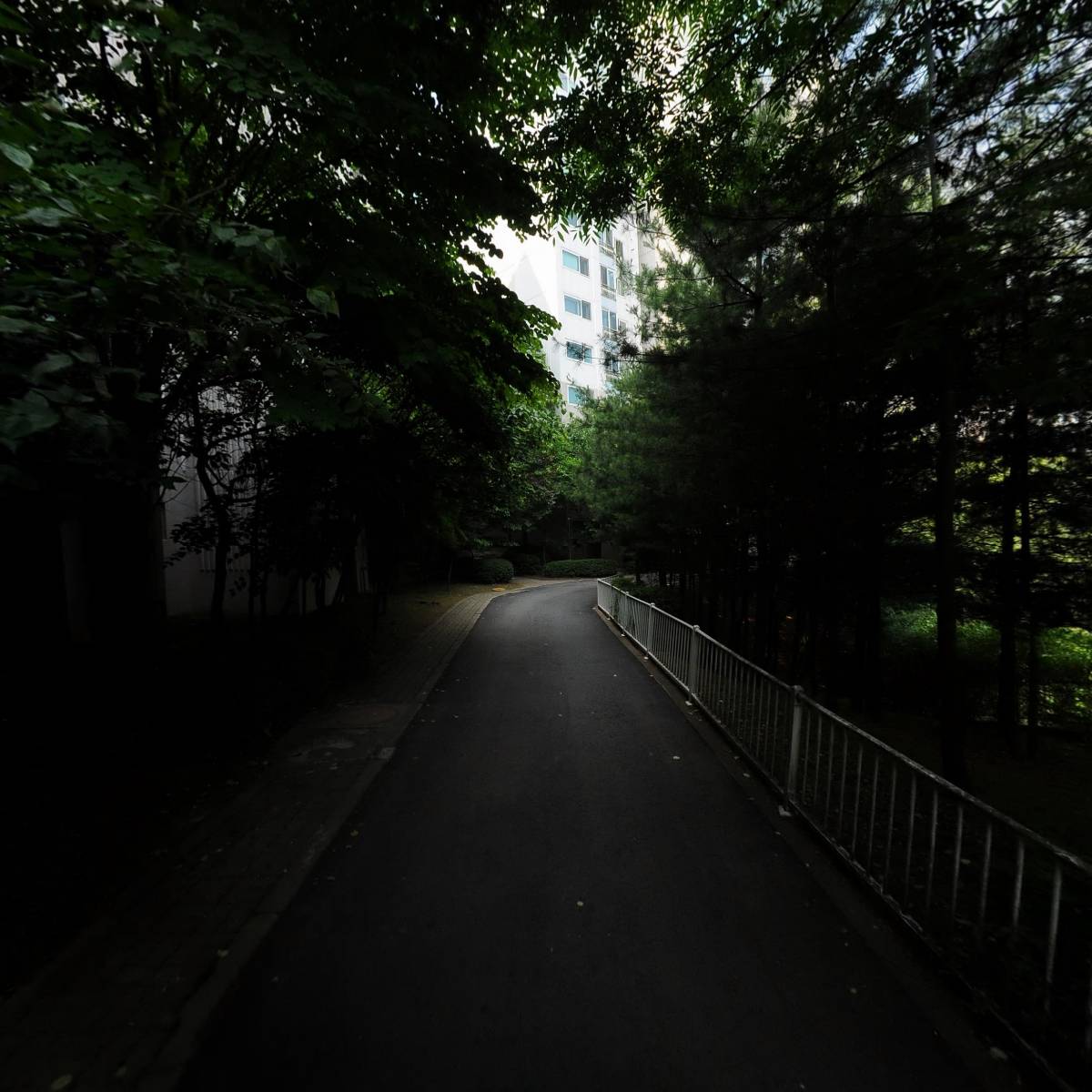 이스트 미라클_2