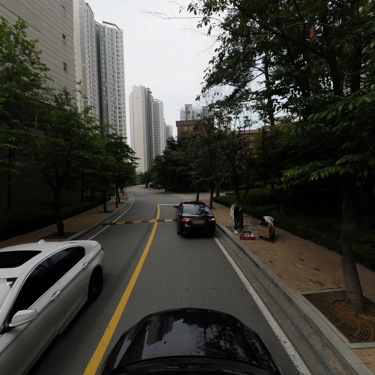얼리버드 코리아_4