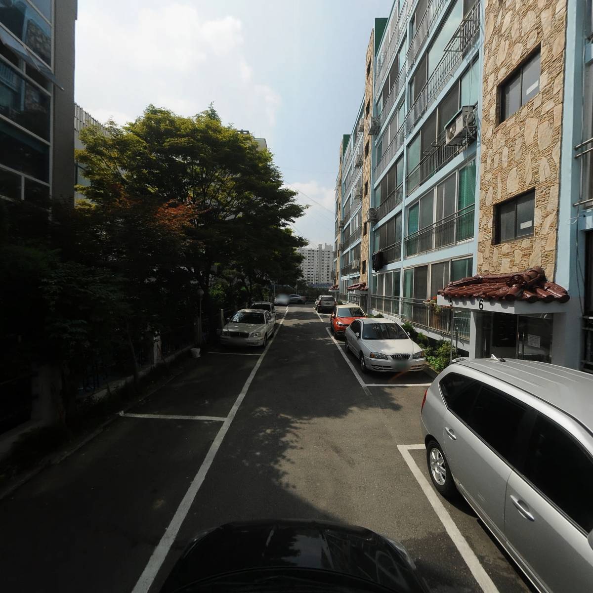 치유애숲_4