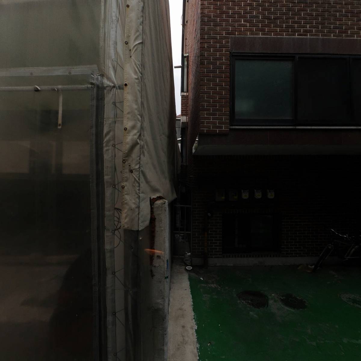 솔낭구_3
