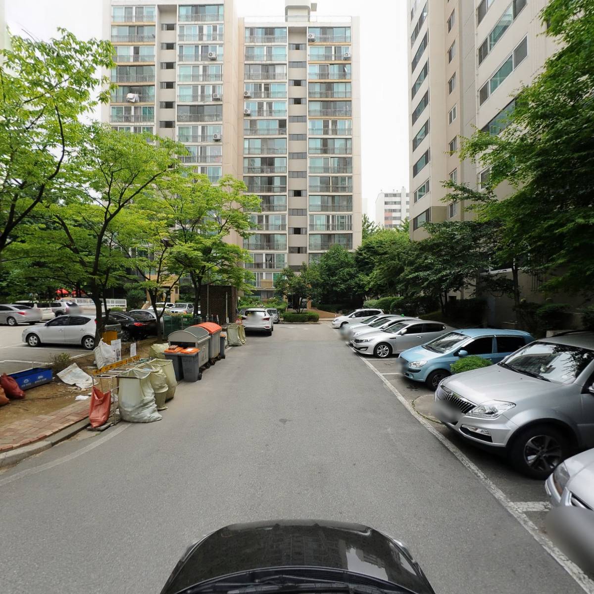 용인대멘토태권도_4