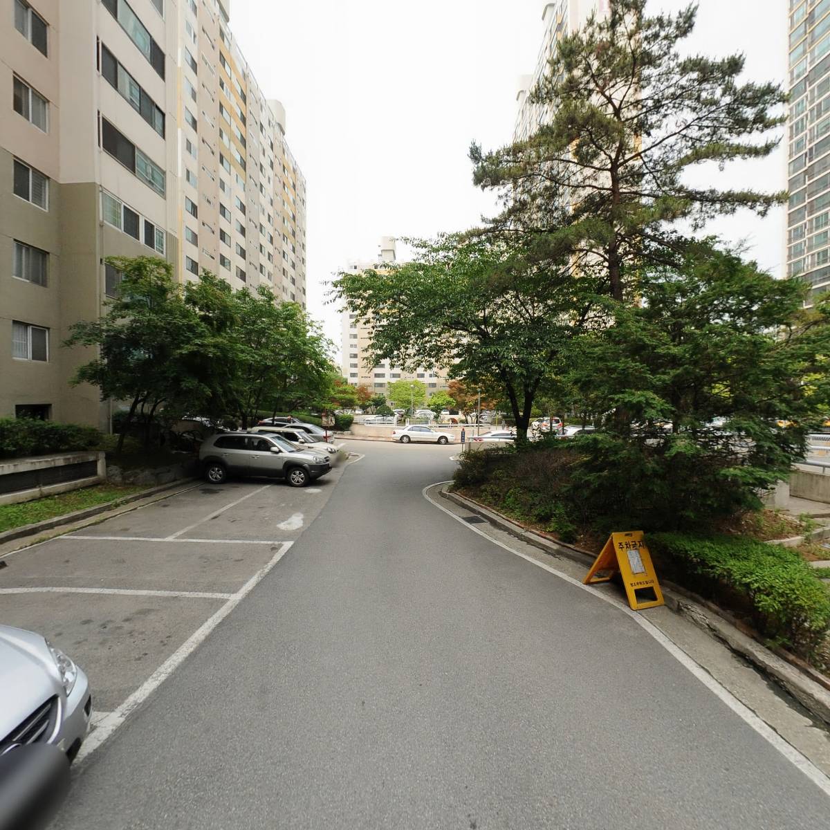 용인대멘토태권도_2