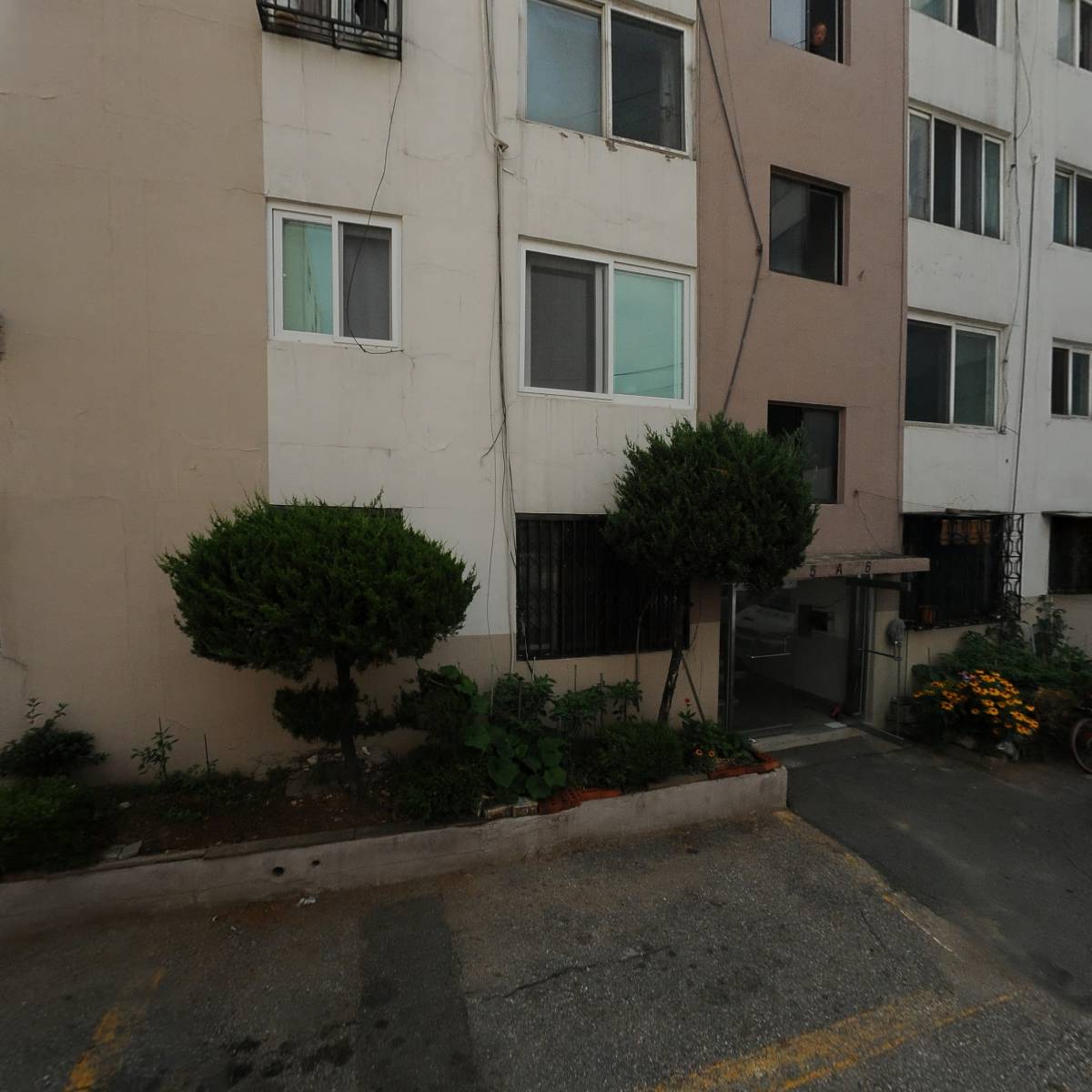 에스앤케이종이배카드