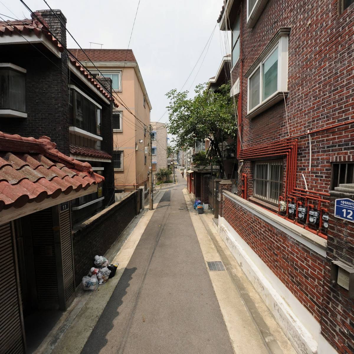 나일블루_2