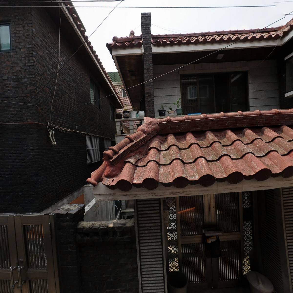 나일블루