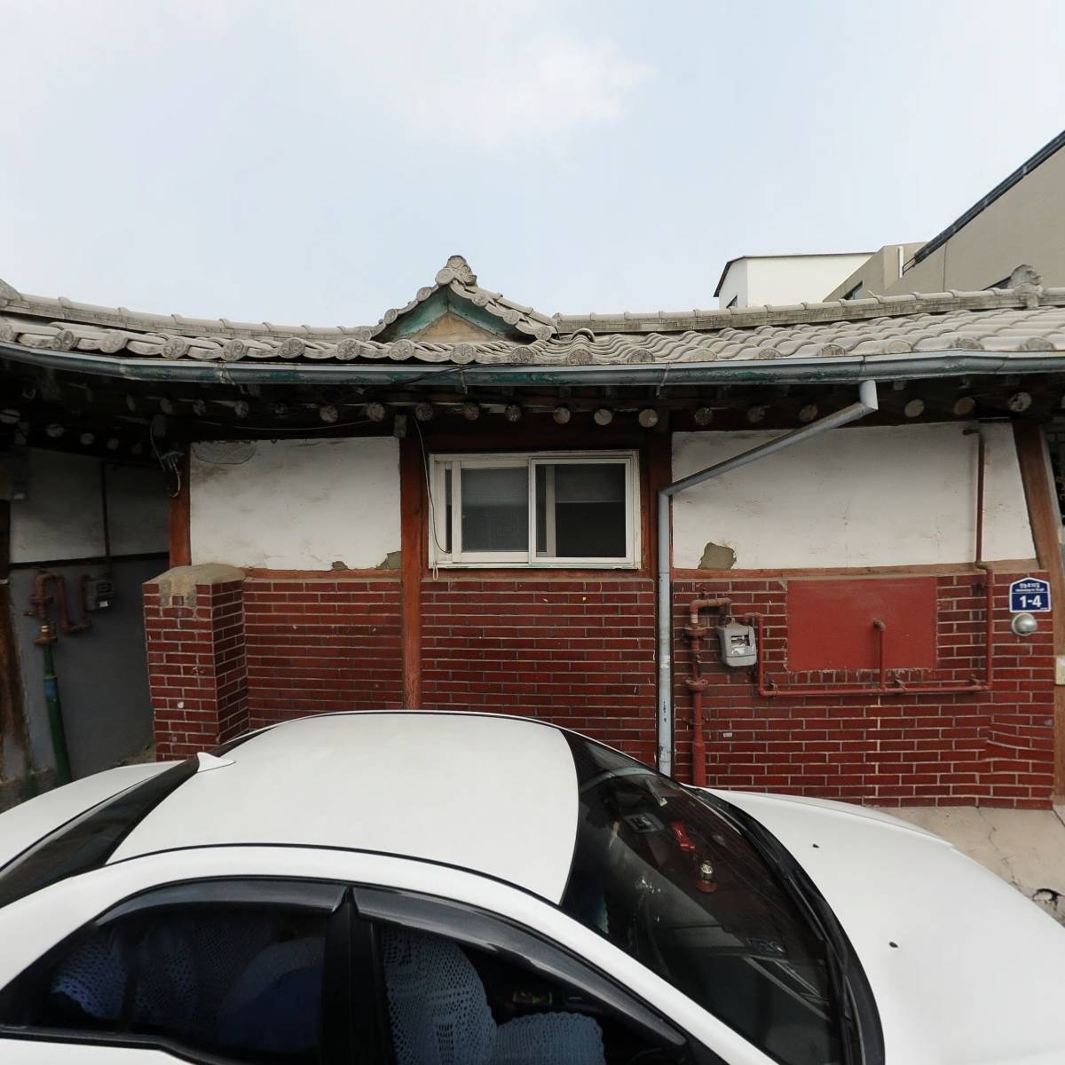 동물권단체 하이