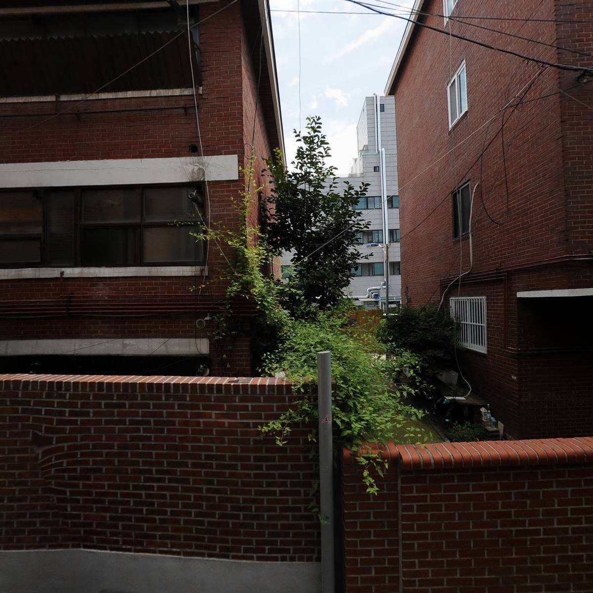 대동전자