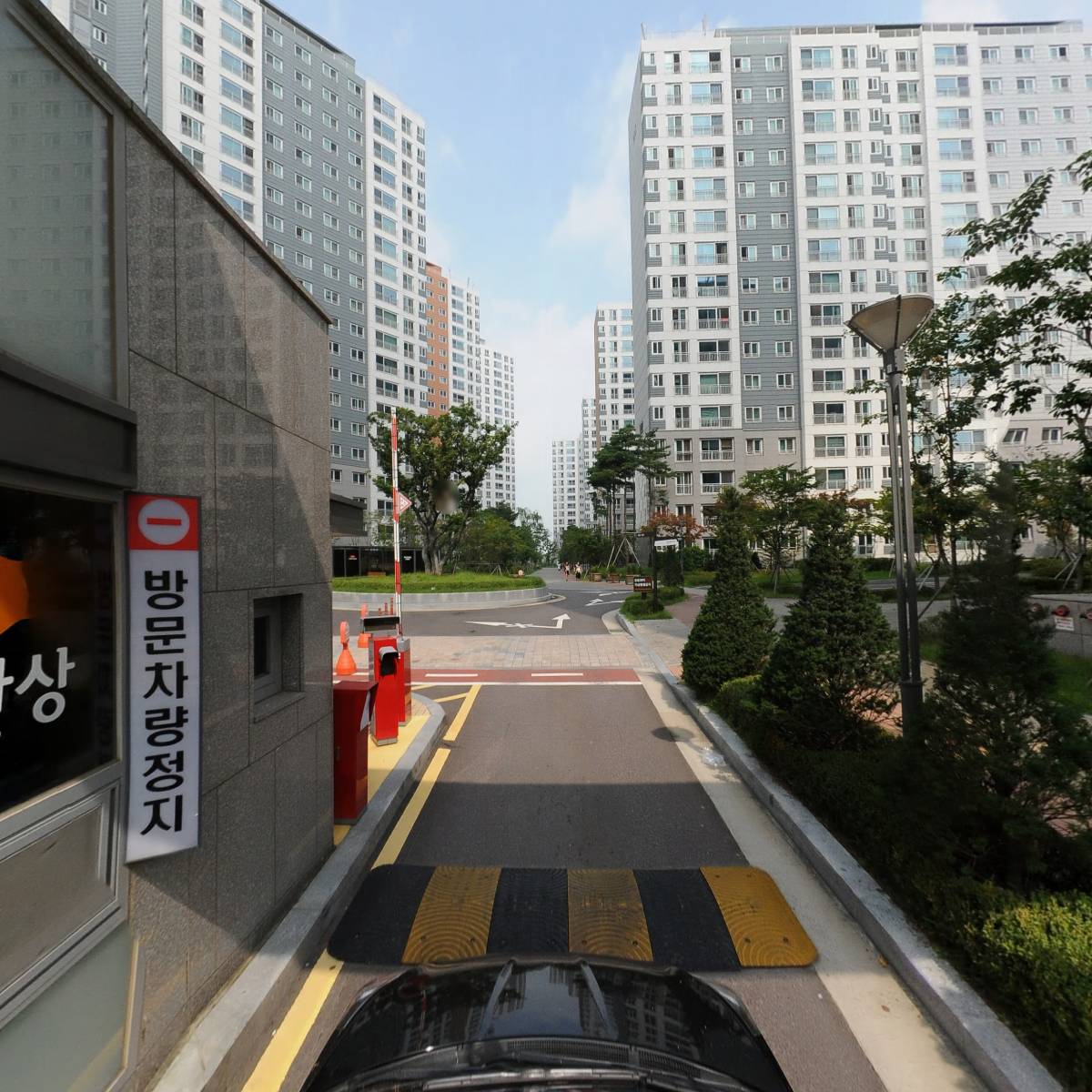 피치베리_4