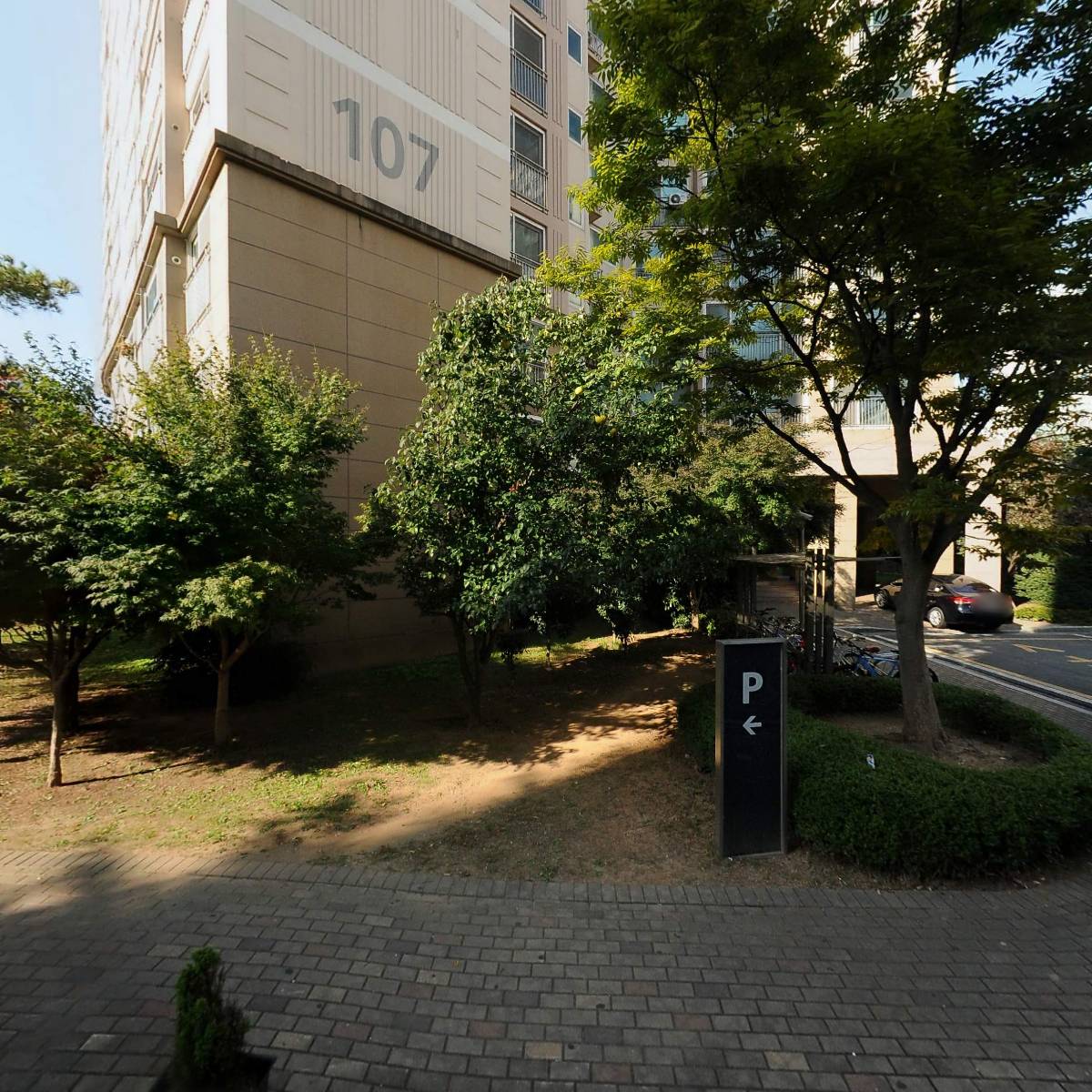 무안늘품