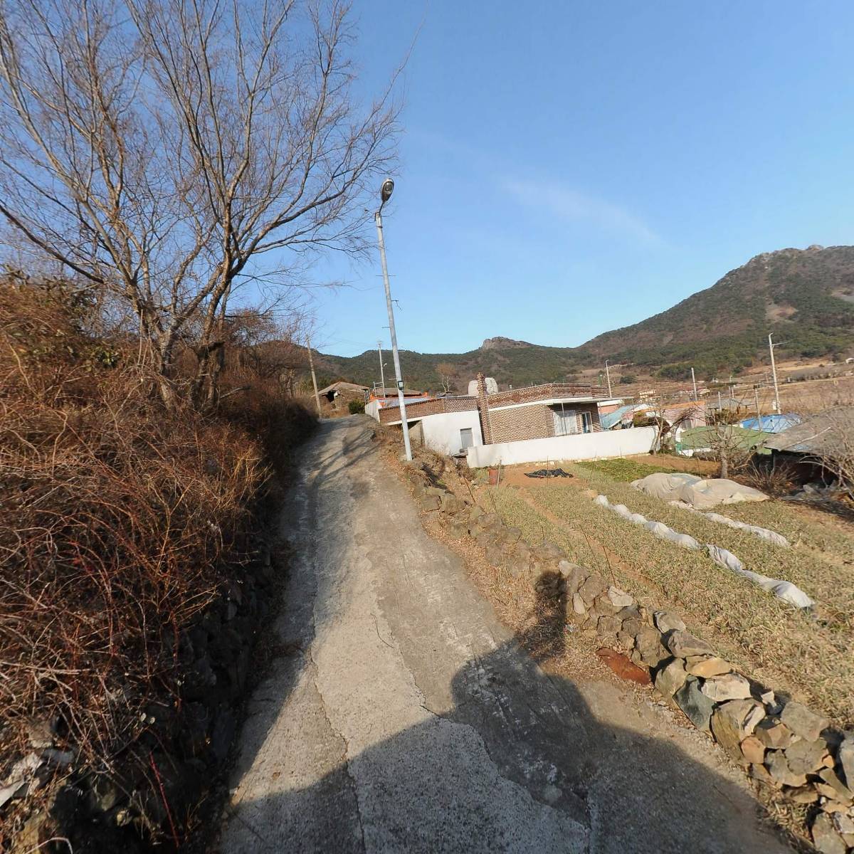 제35동원호