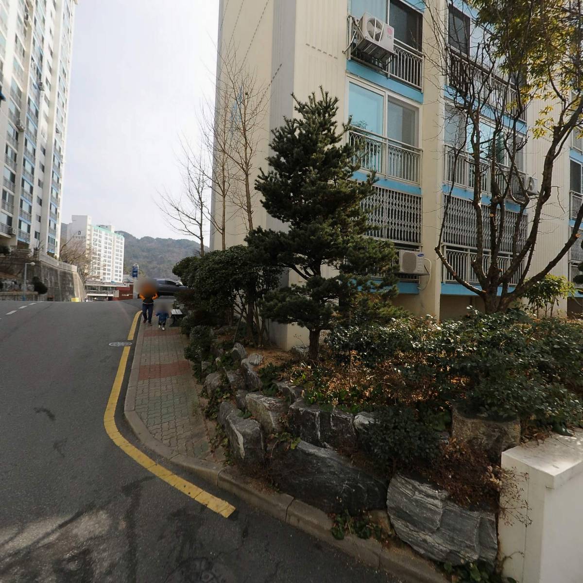 코리아 계란 유통 1_3