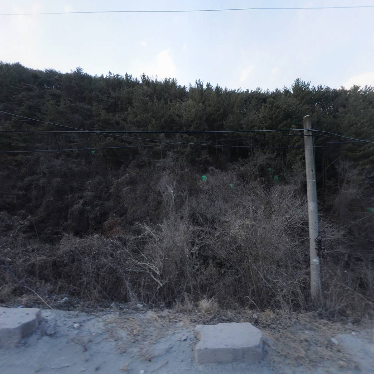 (주)서경