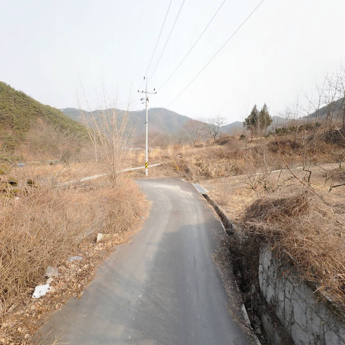 수암55_2
