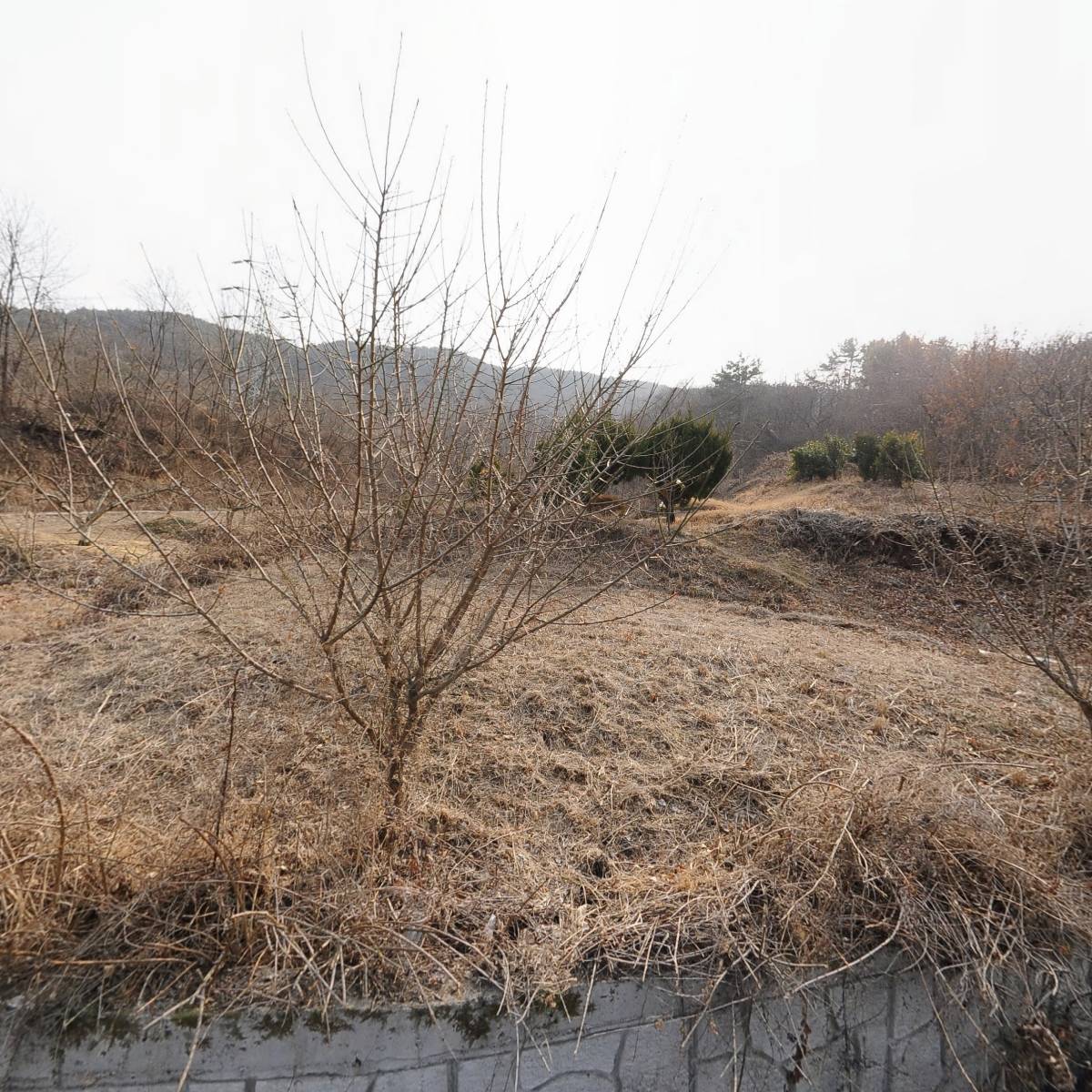 수암55_3