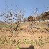 (주)에이스브이