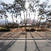 삼인_3