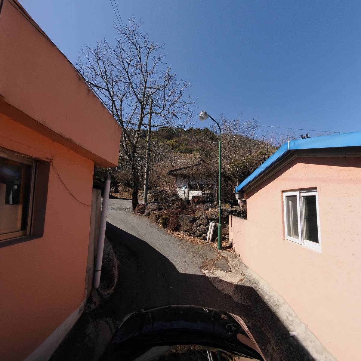 지리산토종벌연구소_4