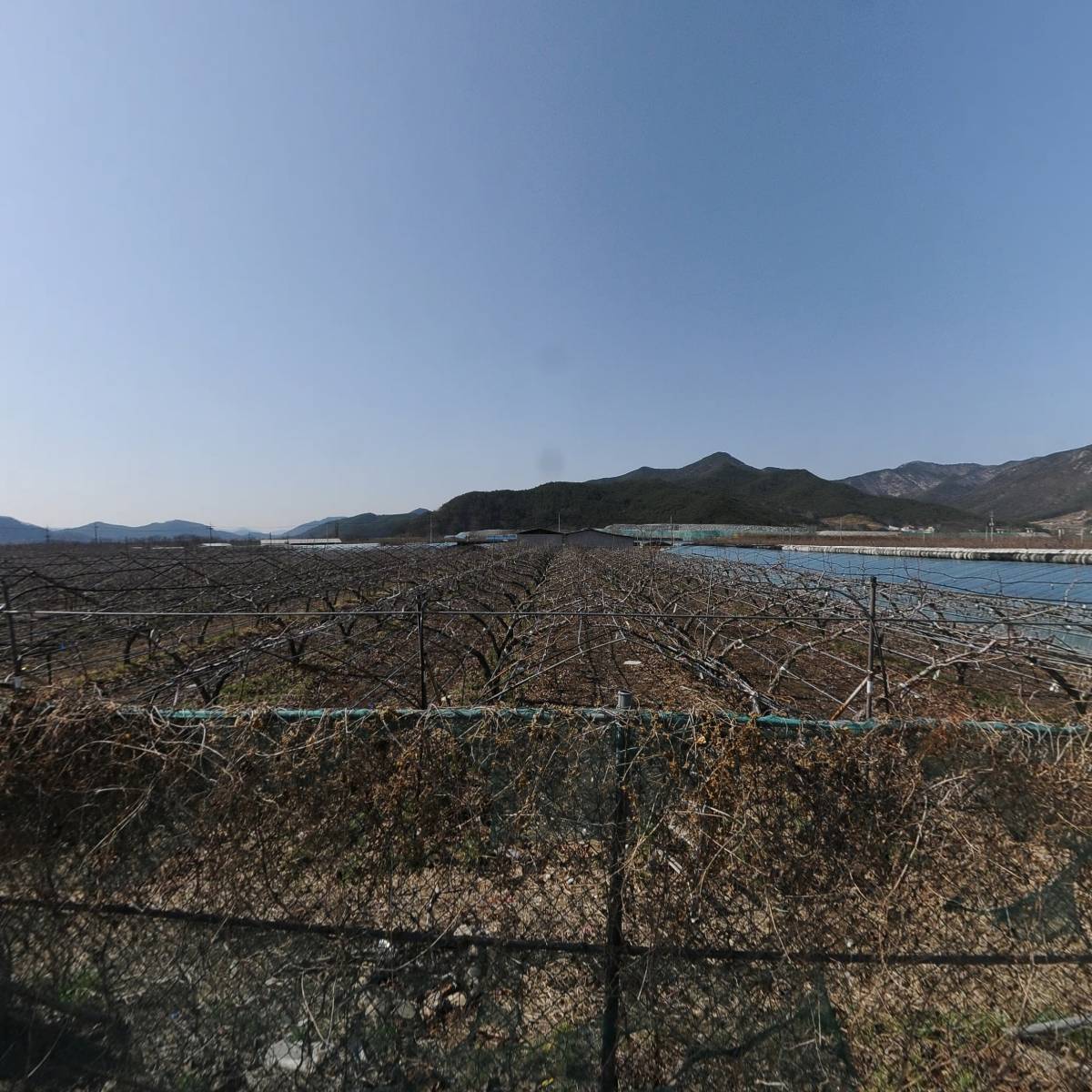 동해농원