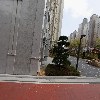 크레용_3